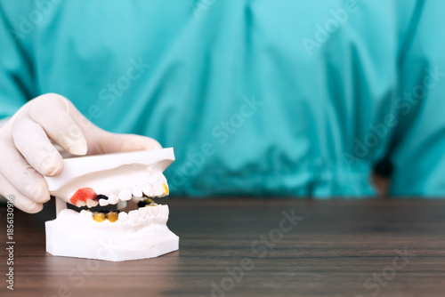 Cuadro en lienzo A dentist displays a plaster model of a jawbone