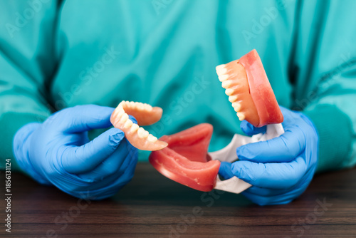 A dentist holds an anatomical model of a jaw with a full set of teeth. Oral rehabilitation procedures and fillings; use of a dental model for professional clinical consultation