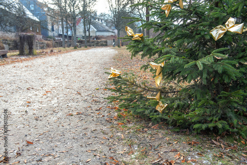 Christmas tree on an alley in a city park. A small German town in Bavaria.