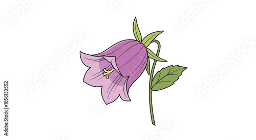 Delicate purple bellflower on a green stem with leaves stands out as a beautiful garden plant in this detailed botanical illustration.