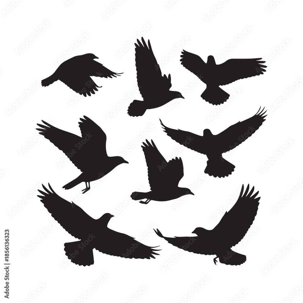 Obraz premium Flying Birds Silhouettes Collection