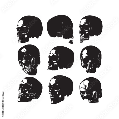 Skull Silhouettes Collection
