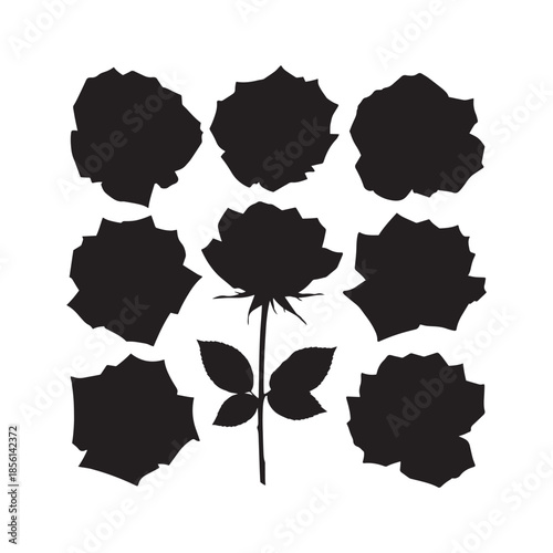 Rose Silhouettes Collection