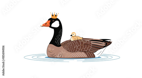Majestic canada goose wearing a golden crown and swimming with a tiny gosling resting safely on its feathered back.