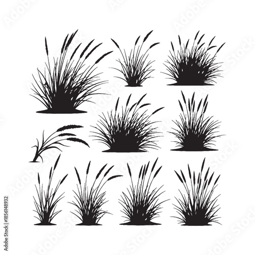 Beach Grass Silhouettes Collection