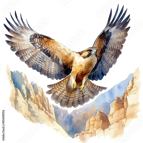 watercolor of Falcon Soaring Swiftly, vector, isolated on a white background.