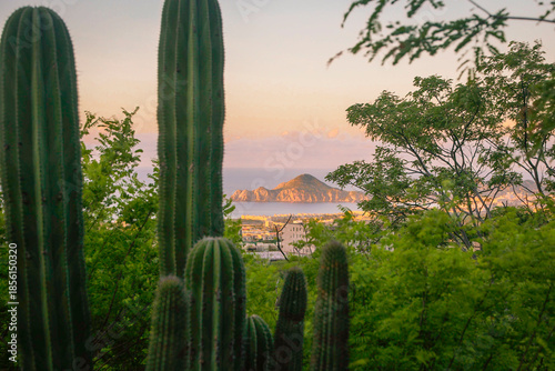 Cabo San Lucas, Baja California, Mexico. Vew of Los Arcos at the tip of Baja. 
