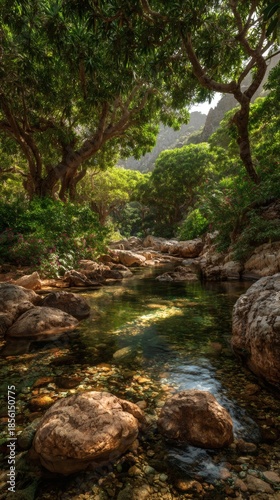 A serene stream flows through a lush forest, creating a picturesque scene of nature's beauty