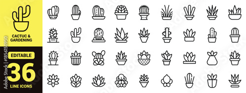 Minimalist Cactus and Succulent Houseplant Line Icon Set with Potted Desert Plants, Aloe Vera, Prickly Pear, and Indoor Gardening Vector Symbols