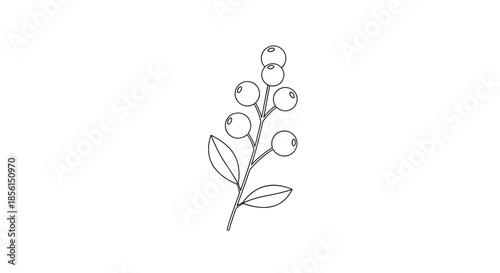 Minimalist line drawing of a berry branch with small round berries and leaves isolated on a white background for simple botanical decorations.