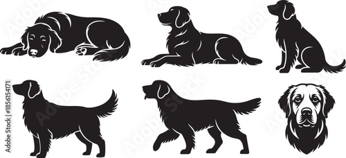 Golden Retriever Dog logo symbol, Vector Art, Icons, and Graphics for designers