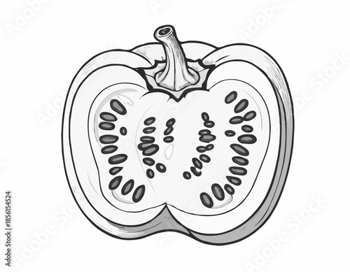Monochrome Bell Pepper Cut Away Showing Seeds in Detailed Woodcut Style
