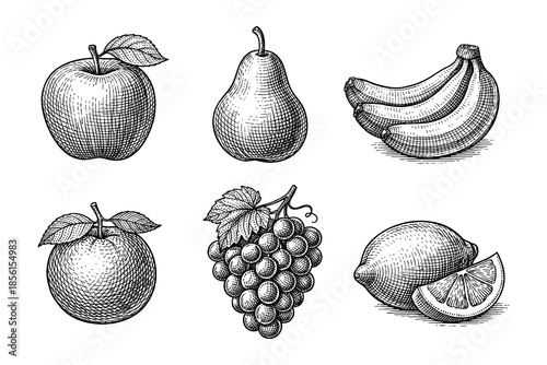 Hand drawn fruit collection featuring apple, pear, banana, orange, grapes, and lemon