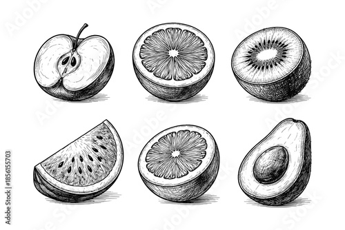 Hand drawn fruit collection: apple, orange, kiwi, watermelon, lemon, avocado