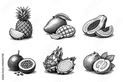 Exotic tropical fruits in vintage style: pineapple, mango, papaya, passion fruit, dragon fruit, guava