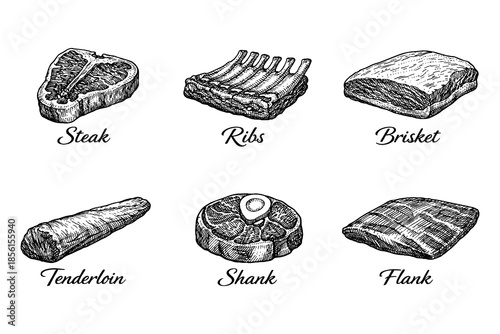 Hand-drawn cuts of beef: sketched steak, ribs, brisket, tenderloin, shank, flank