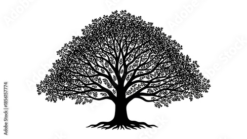 A black silhouette of a tree with sprawling branches and roots against a clean white background, showcasing nature's intricate details.