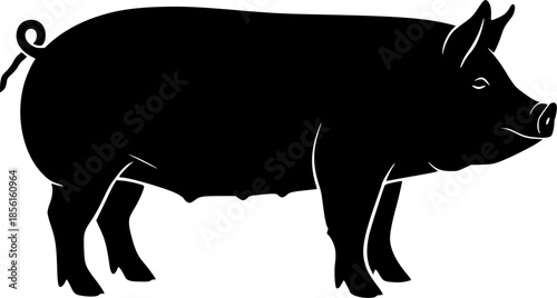 Black silhouette of a pig on white background isolated on white background
