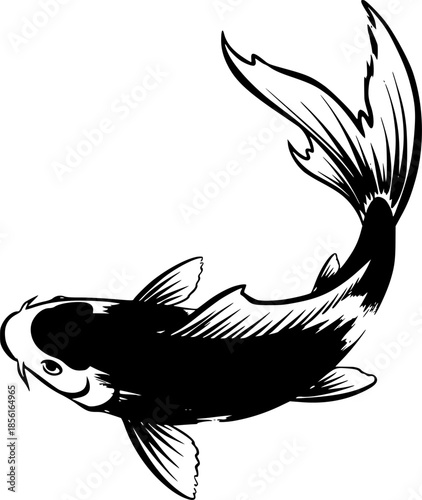koi in illustration in brush stroke painting
