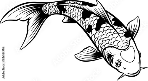 koi in illustration in brush stroke painting
