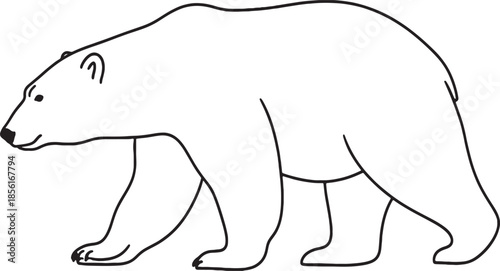 Polar bear outline illustration in minimalist line art style wildlife animal vector design