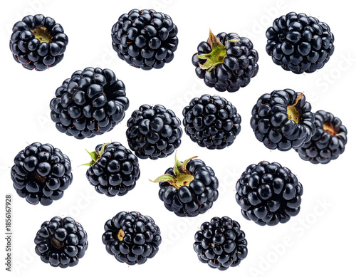 Scattered Flying Blackberry Fruits with Dynamic Motion, Close-Up Detail, Isolated PNG