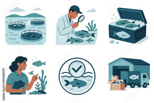 Shadows showcase sustainable inspection gentle storage distribution icon vector seafood marine clean