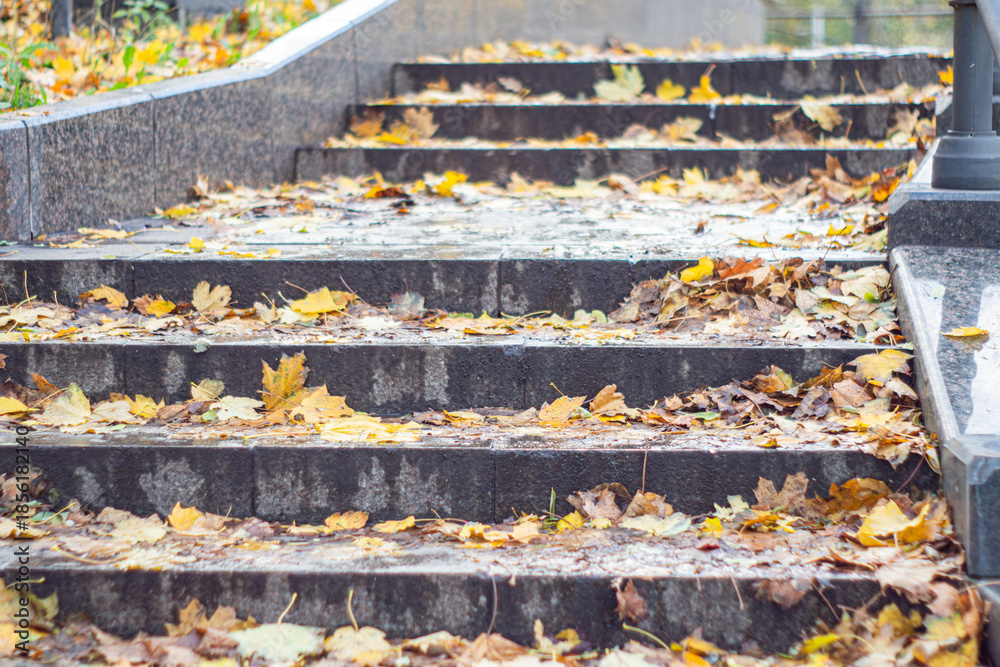 Φωτογραφία Autumn park stairs adorned with orange and yellow leaves, soft lighting, concrete steps, tranquil scene, late autumn, overcast sky