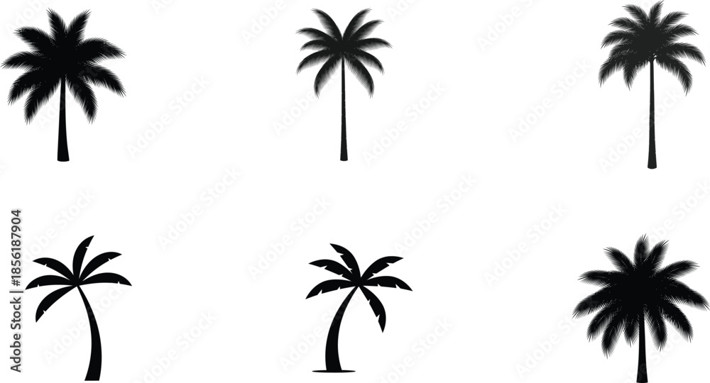 Fototapeta premium Collection of silhouette palm trees isolated on white background