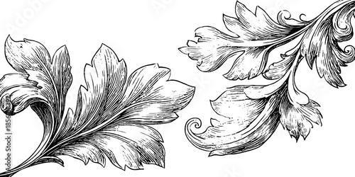 Renaissance floral ornament set in vintage engraved sketch style for design