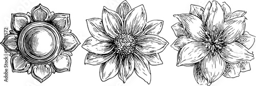 Vintage engraved floral rosettes set - hand drawn decorative flower illustrations for design