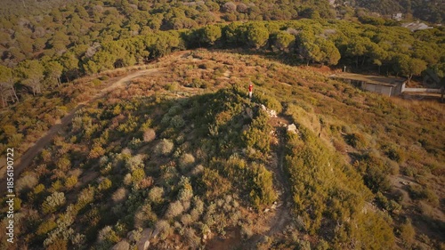 A person is standing on a hill in a forest. The hill is covered in trees and bushes