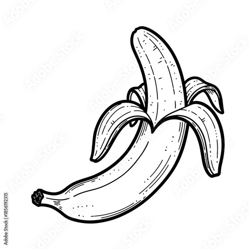 Hand drawn illustration of a banana fruit with peel partially removed.