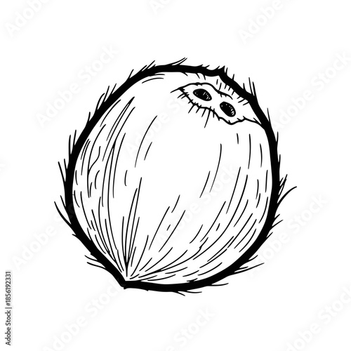 Simple black and white illustration of an onion with roots.