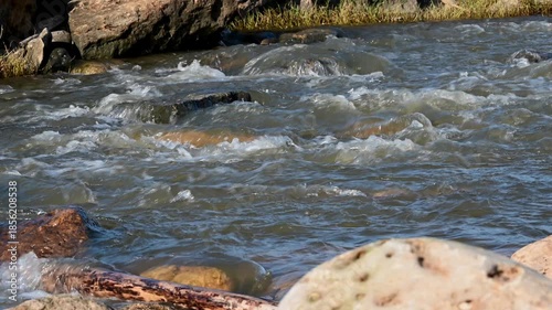 Close-up video of a stream flowing over rocks and stones near the beach in Ericeira, Portugal. Water movement with currents, ripples and natural textures in daylight