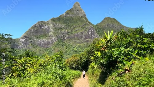 Hiker on a path, lush greenery surrounds, with a large mountain peak in the distance, blue sky