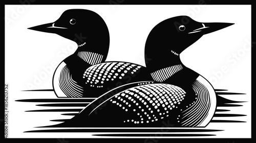 Classic black and white illustration of two common loons swimming. Retro graphic design of aquatic birds in a vintage woodcut style.