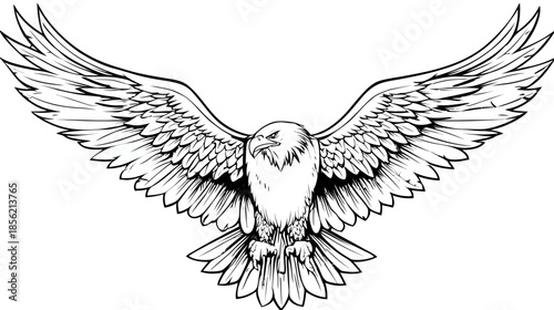 Majestic flying eagle with widely spread wings, detailed black and white line art illustration representing freedom and power.