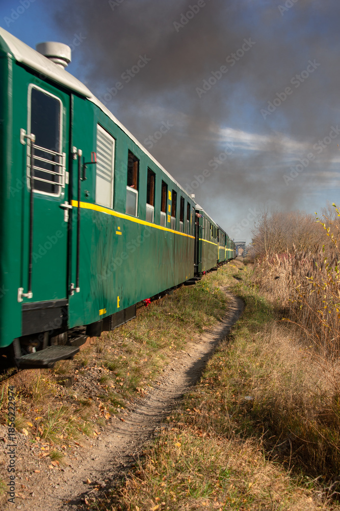 Fototapeta premium Locomotive carriages.The locomotive is running. Autumn landscape and the movement of the locomotive. Narrow-gauge railway. Railway bridge. 