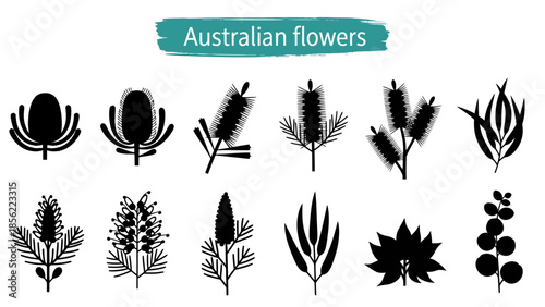 Australian flowers: a black-and-white vector clipart collection of native flora silhouettes for graphic design, branding, and craft projects.