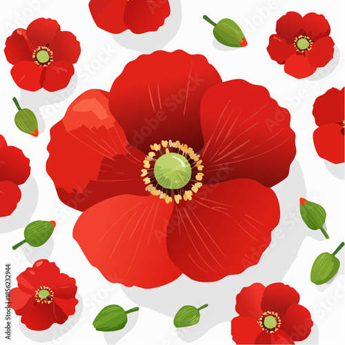 Hintergrund Klatschmohn