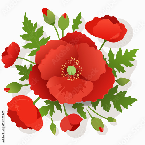 Hintergrund Klatschmohn