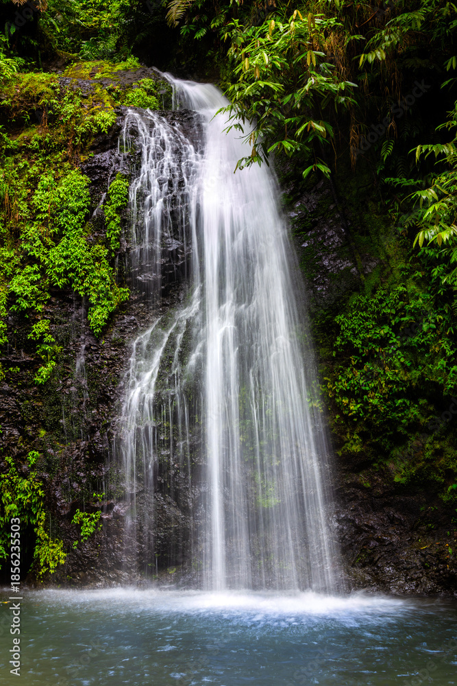 Obraz premium Le SDG waterfall in Martinique, France. The Saut du Gendarme waterfall is a splendid tourist spot in Martinique.