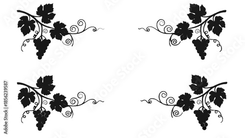 Vector illustration of ornate vine leaves and grapes on transparent background