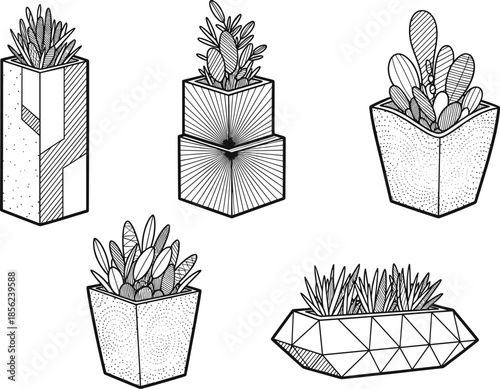 Assorted succulent pots line art sketch drawing indoor house plants monochrome isolated decor element.