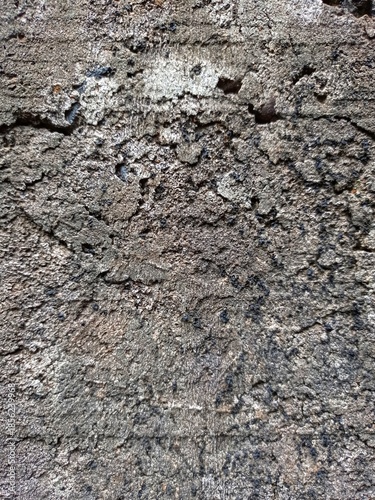 the walls of the house are made of cast concrete