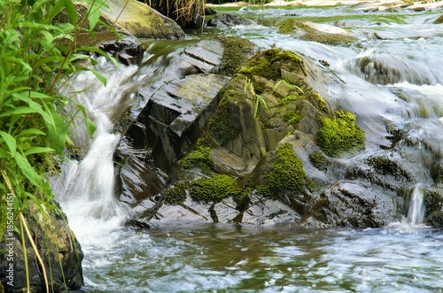 small waterfall in the forest