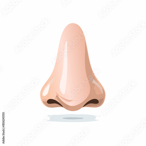 Human Nose Close Up Detail Isolated on White Anatomical Illustration Detailed Nasal Structure Visible Health and Medical Concept