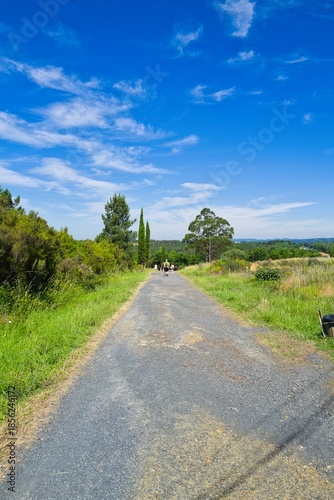 길거리, sky, 경관, 네이처, 나무, 목초, 여름, 경로, 국가, 농촌, green, 구름, 시골, 아스팔트, 길, 들판, 여행, 간선도로, 봄, 때, 산책로, 공원