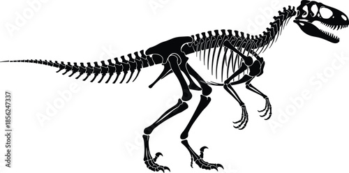 Dinosaur skeleton silhouette, Tyrannosaurus rex vector, prehistoric fossil illustration, ancient reptile design, paleontology art, extinct creature background